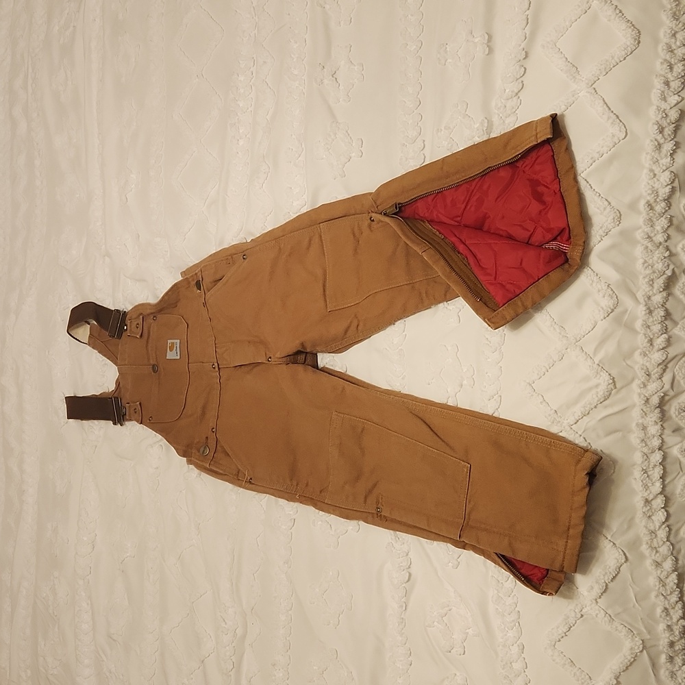 Carhart Insulated Bib Overalls